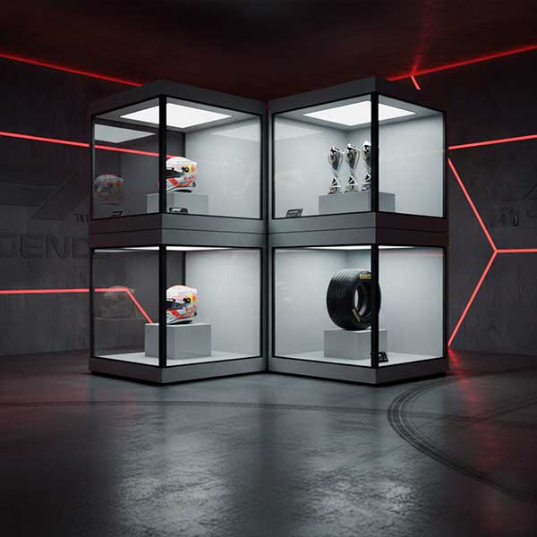 Exhibit Display Cases